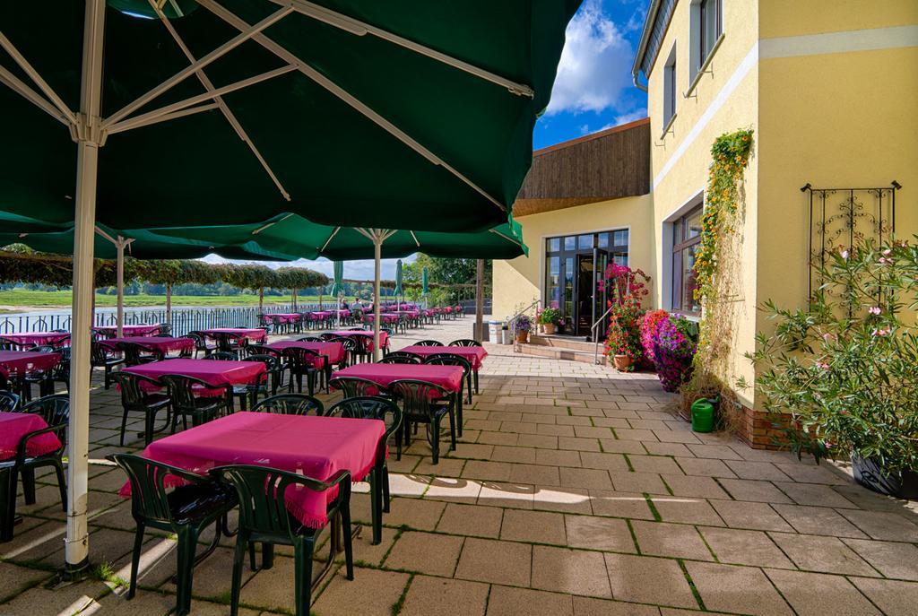 Hotel Elbterrassen Zu Brambach Dessau-Rosslau Exteriér fotografie